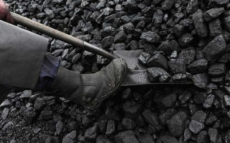 Цените на јагленот во Европа пораснаа за 18 отсто по руската воена операција во Украина