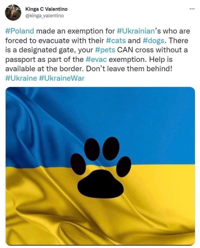 Граѓаните од Украина слободно може да влезат во Полска со своите миленици