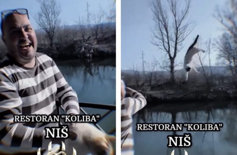 (ВОЗНЕМИРУВАЧКО ВИДЕО) Полицијата во Ниш пронајде насилник на животни, заработи кривична пријава