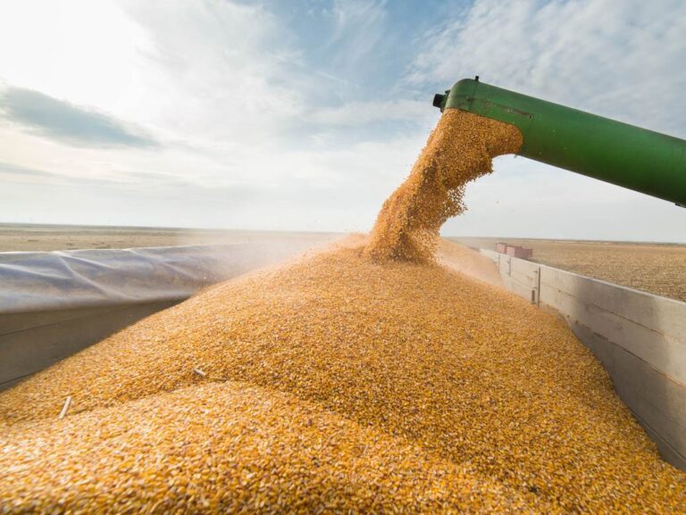 ВМРО ДПМНЕ: Ако државата има доволно стокови резерви на пченица, тогаш зошто владата не ги пушти во оптек за да спречи зголемување на цените на брашното и лебот?!
