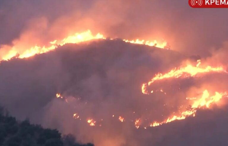 (ВИДЕО) Голем шумски пожар на грчкиот остров Евија – евакуирано едно село