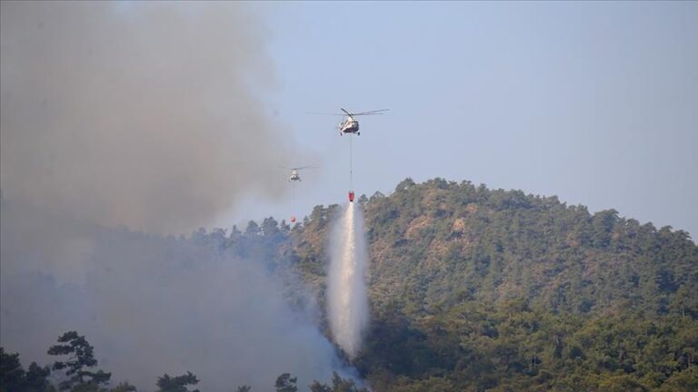 Два шумски пожари избувнаа во западна Турција