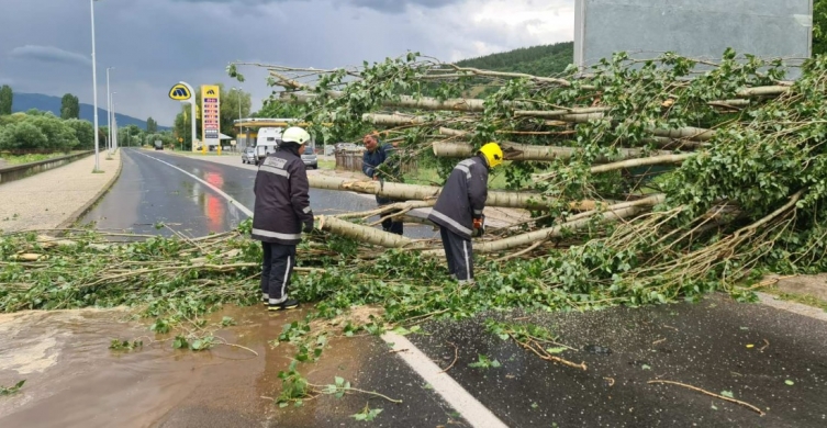 Штрајкот на ССМ во мирување во регионите погодени од невремето