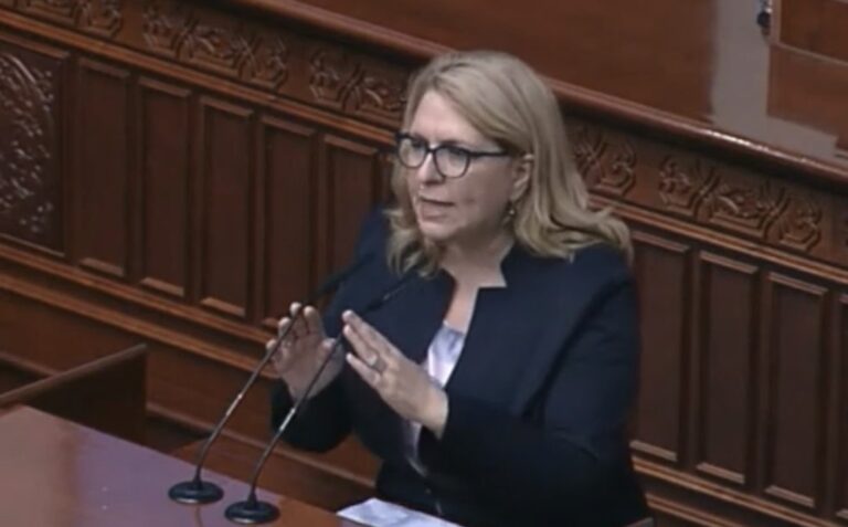 Николова кон пратениците од ВМРО-ДПМНЕ: На маиците го носите Гоце Делчев ама во душата го носите Тодор Александров