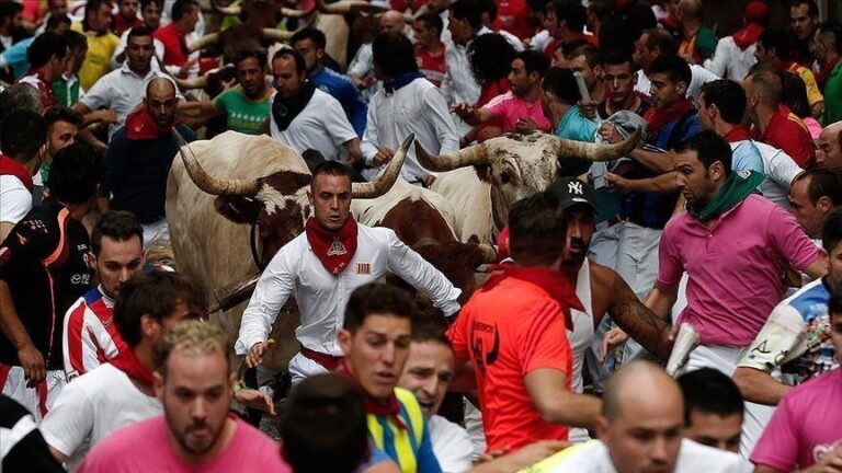 Во Франција се прават обиди за забрана на борбите со бикови, кои сè уште сe популарни во земјата