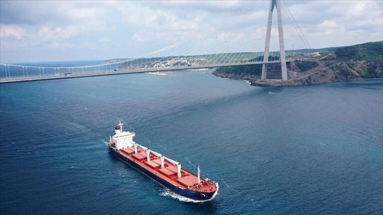 Истанбул: Завршена инспекцијата на првиот брод со жито од украинското пристаниште Одеса
