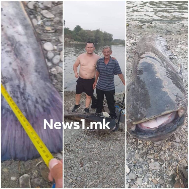 (ВИДЕО) Македонец улови сом тежок над сто килограми во реката „Ада“ во Италија