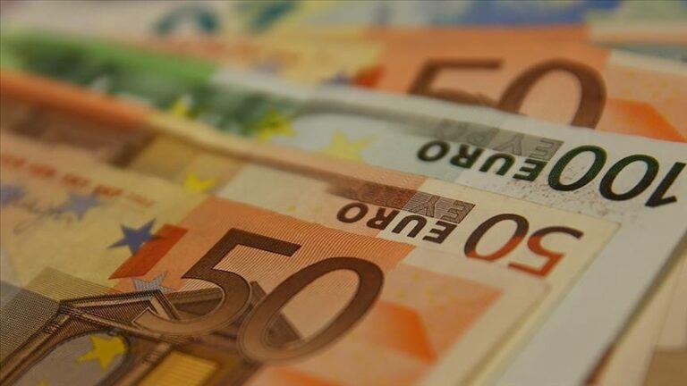 Косово го воведе еврото како домашна валута