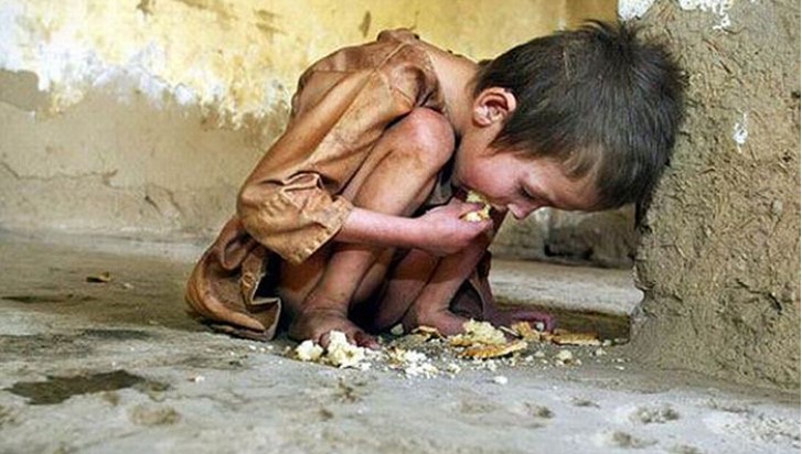 Според ФАО 733 милиони луѓе ширум светот минатата година се соочиле со глад – или секој 11. жител на Земјата