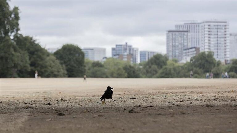 Прогласена суша во делови на Велика Британија
