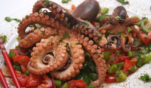 Народот нема за леб, а владата набавува октоподи, велат од ВМРО ДПМНЕ