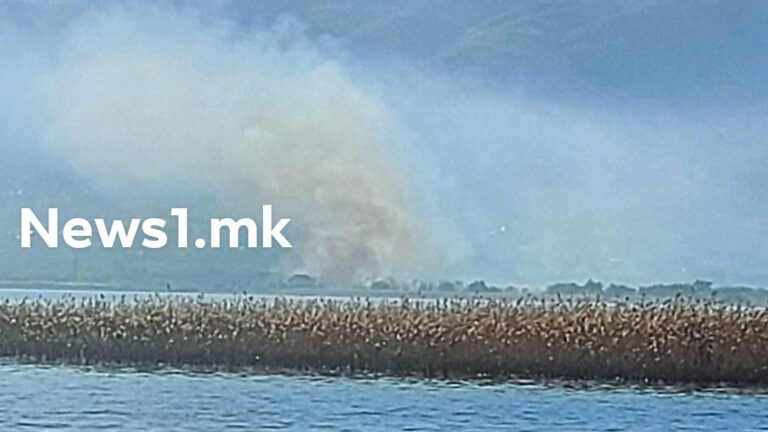 (ВИДЕО) Голем пожар на потегот помеѓу Струга и селото Калишта