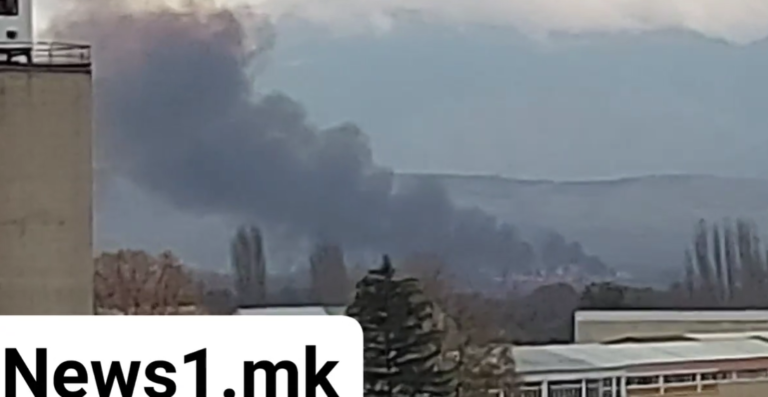 (ВИДЕО) Пожар пред Битола