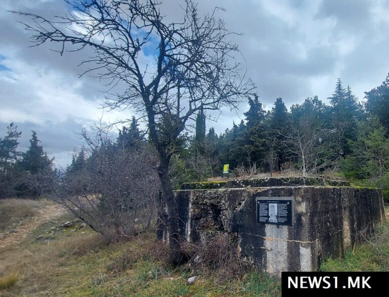 (ФОТО) Во Охрид поставена спомен плоча за 400 загинати српски војници