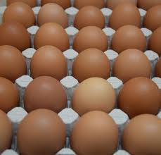 Владата донесе одлука за замрзнување на цените на јајцата и оризот