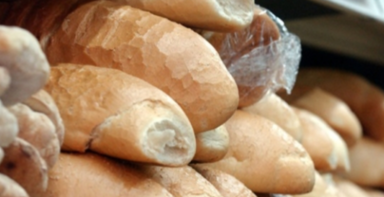 Малишиќ за Телма: Социјален леб со помала грамажа за да се запази тој социјален апскет за наслението