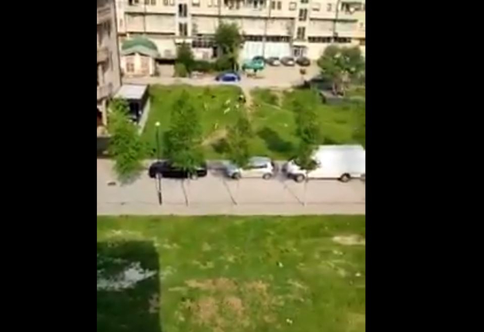 (ВИДЕО) Глутница кучиња скитници нападнаа девојка во центарот на Тетово