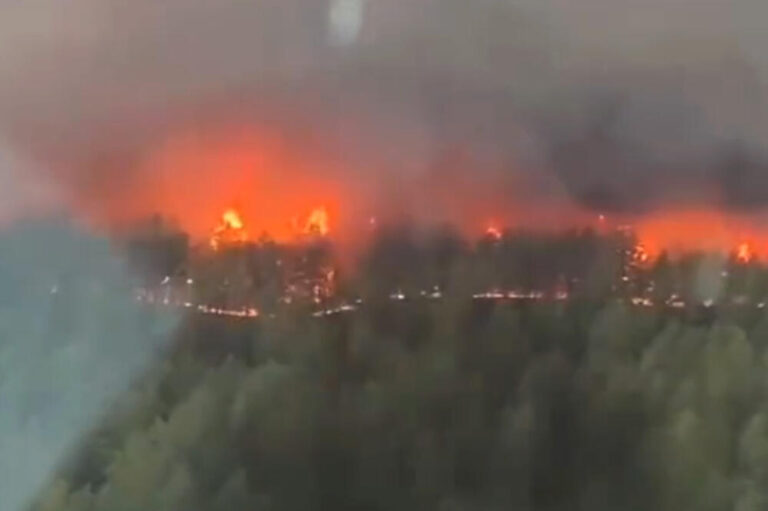 Шумски пожар во близина на манастир во Света гора