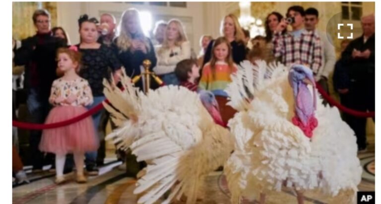 Бајден го поминува својот 81-ви роденден во чест на традицијата на Белата куќа за помилување мисирки за Денот на благодарноста