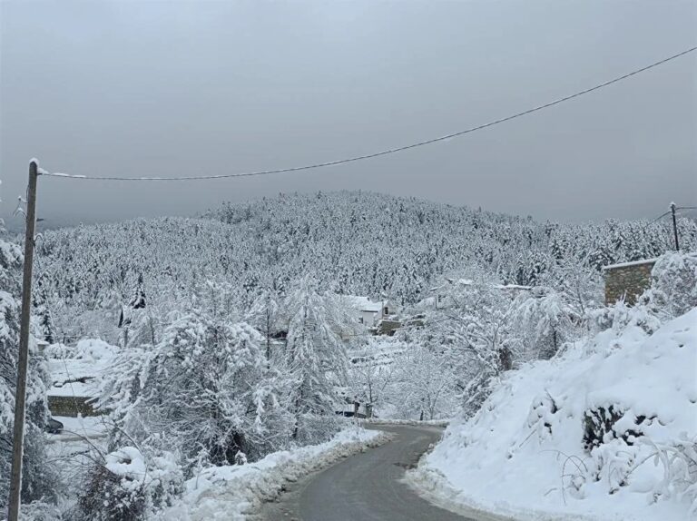 (ФОТО) Снежна идила од Пелистер, Битола