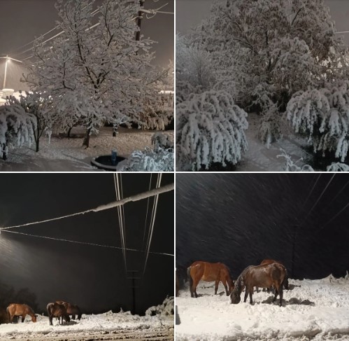 (ФОТО) Снежна бајка на Пелистер, Битола