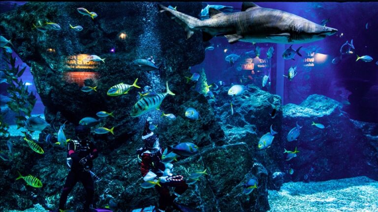 „Siam Ocean World“, најголем океанариум во Југоисточна Азија