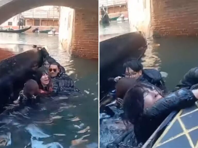 (ВИДЕО) Сакале атрактивно селфи, па завршиле во ледена вода, необична сцена во Венеција