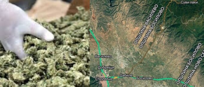 Од фабрика за марихуана во Струмичко исчезна цвет вреден шест милиони евра!