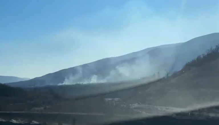 (ВИДЕО) Пожар во Дебрца