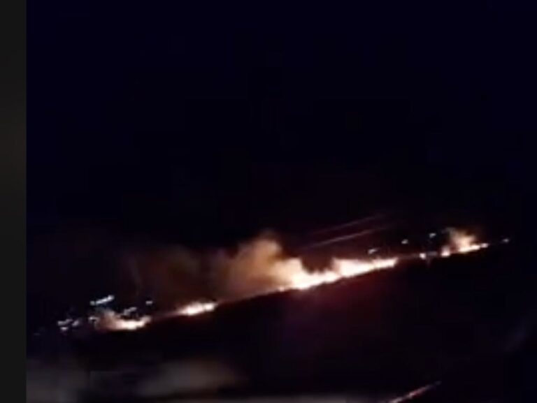 (ВИДЕО) Пожар помеѓу Прилеп и Битола