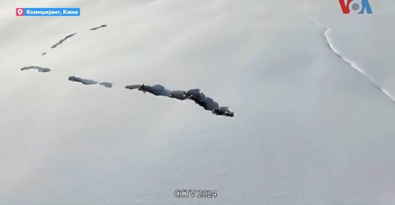 (ВИДЕО) Глутница волци вешто се движат низ дебели слоеви снег